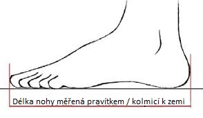 kolmice