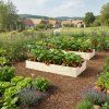 freepik tento zhon dej do uitkov zahrady kde budou v dlce 84537