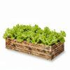 freepik vlo do truhlku dv ady saltu aby nebyla vidt zemina 84551